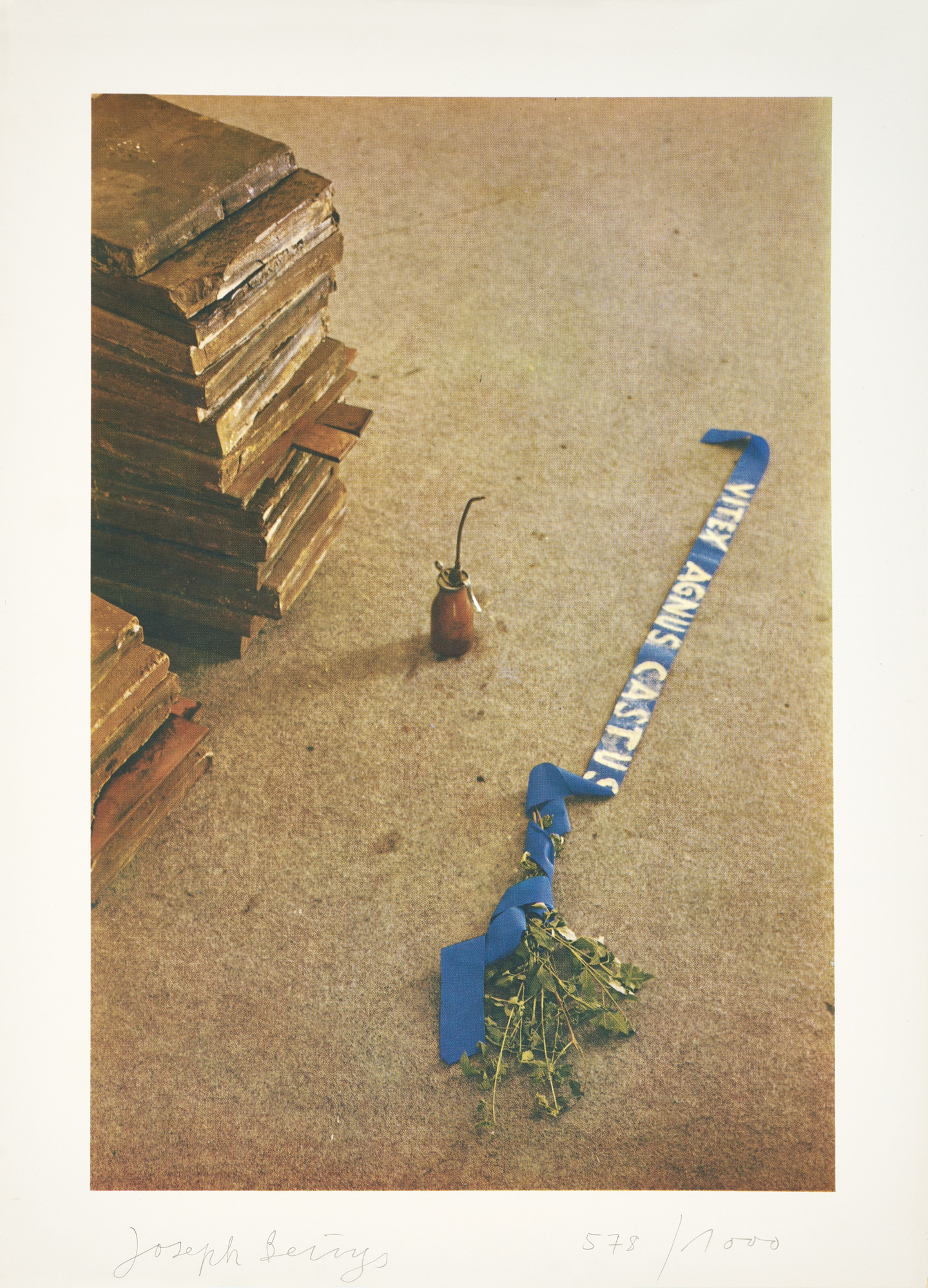 Joseph Beuys, 2 sheets: Vitex Agnus Cactus