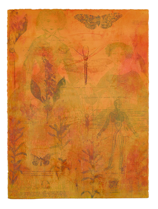 Orange Venetian