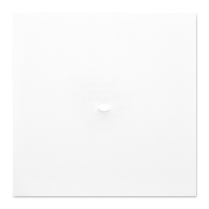 Un ovale bianco