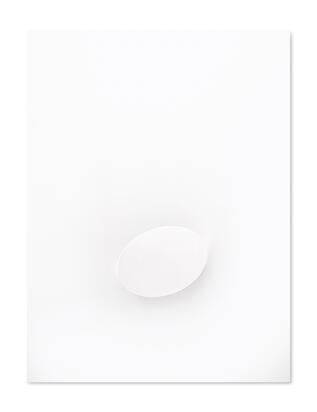 Un ovale bianco