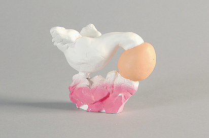 Bird Head in Egg