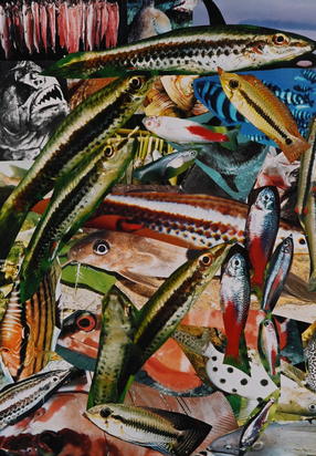 Diptychon: Aquarium I, Aquarium II