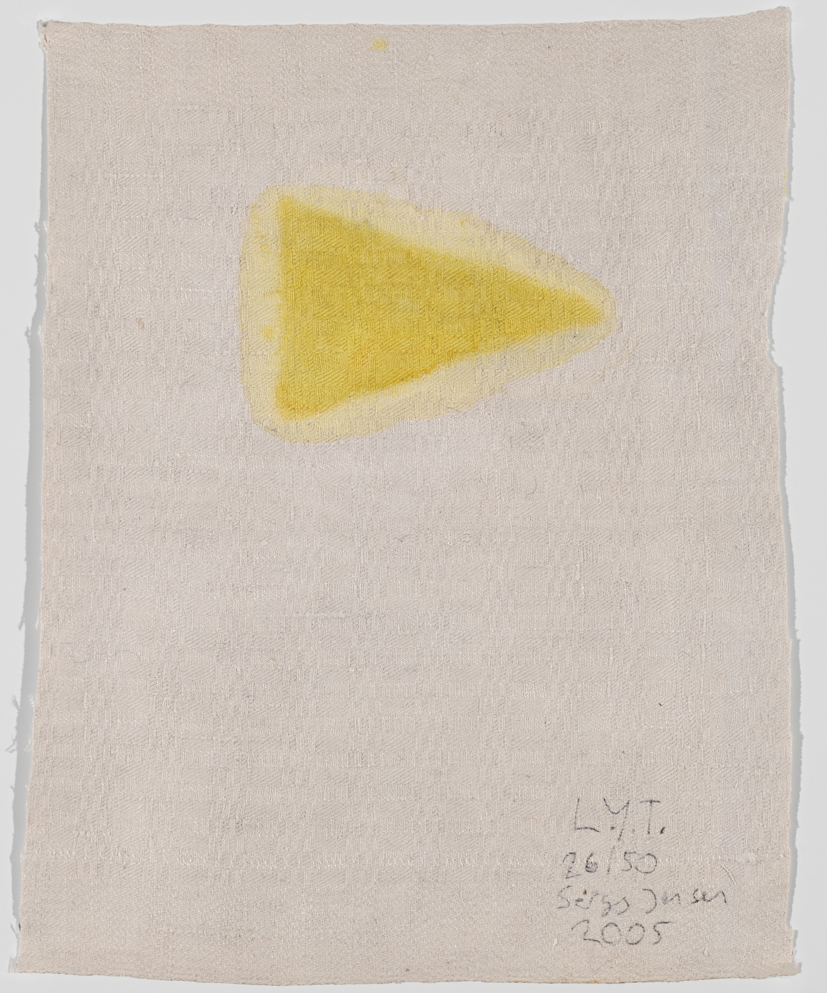 Sergej Jensen, The Last Yellow Triangle