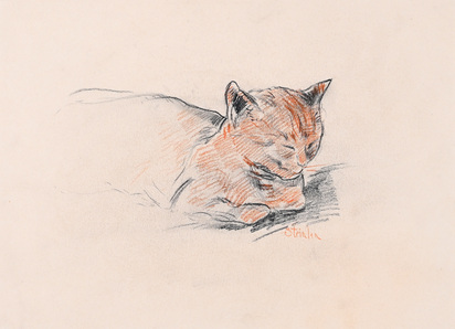 Chat dormant