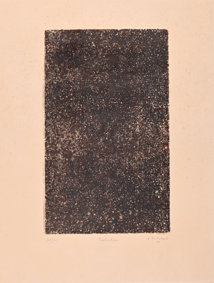 Texturologie