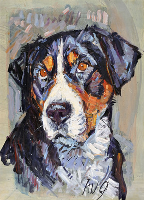 Hundeportrait