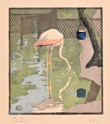 Flamingo
