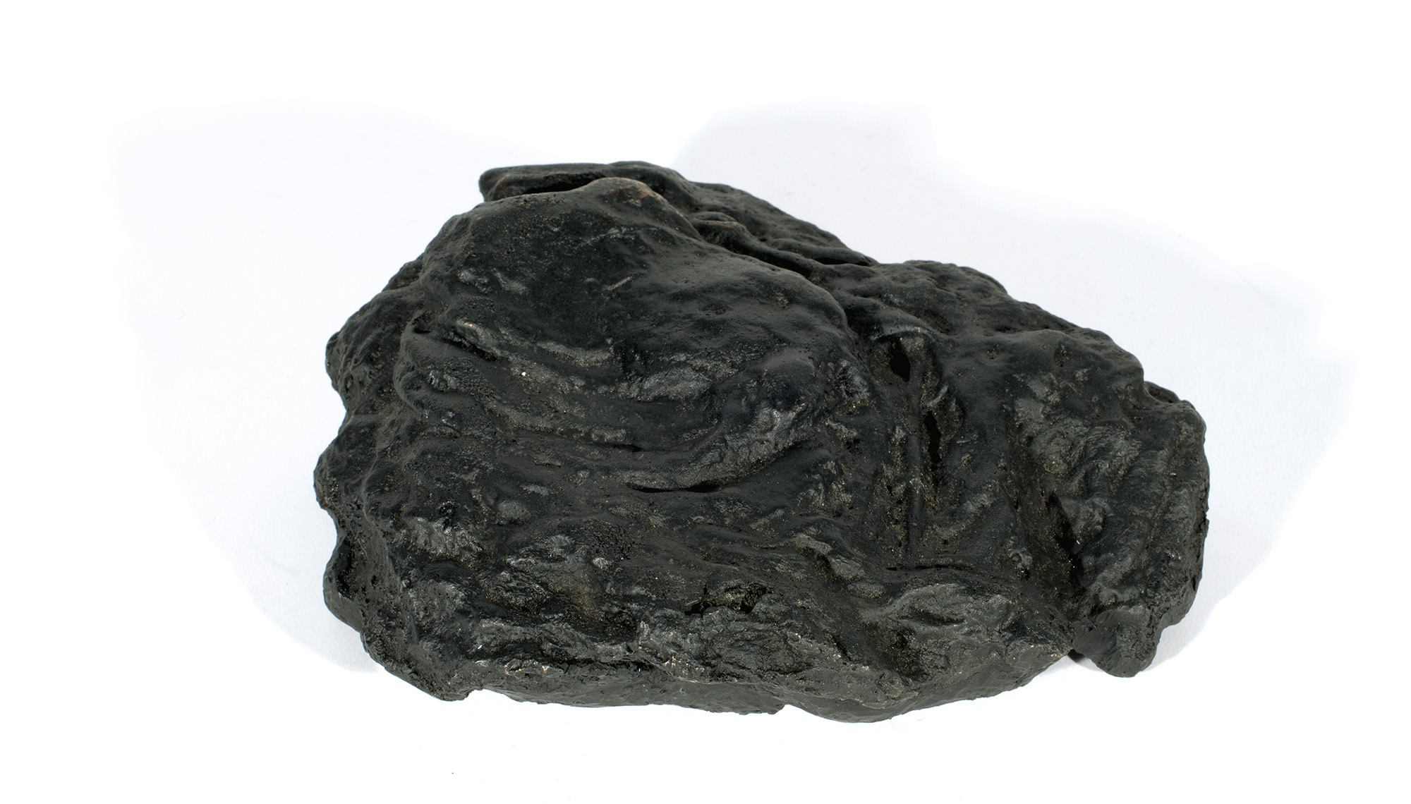 Not Vital, Mongolian Cow Dung