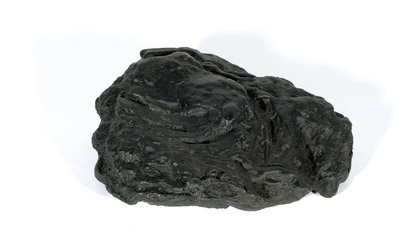 Mongolian Cow Dung