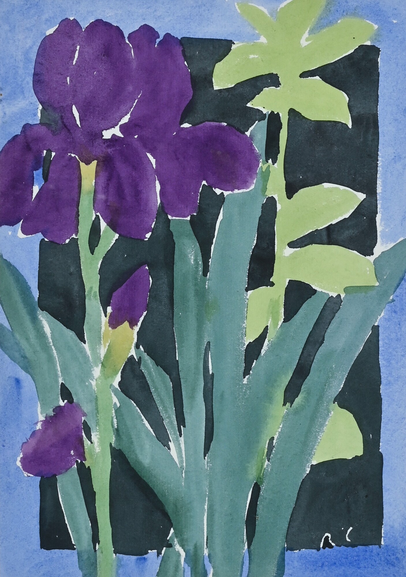 Roman Candio, Iris