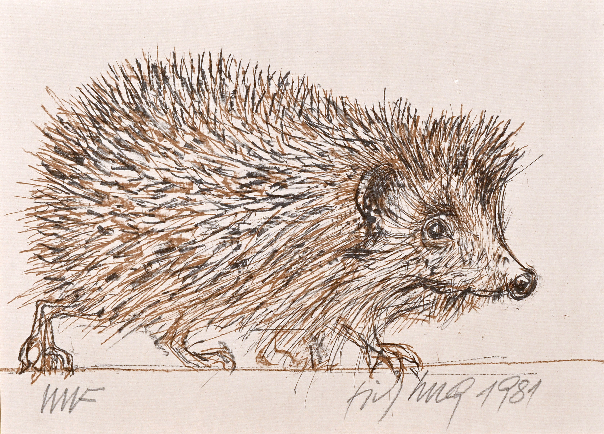 Fritz Hug, Igel