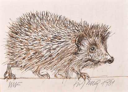 Igel