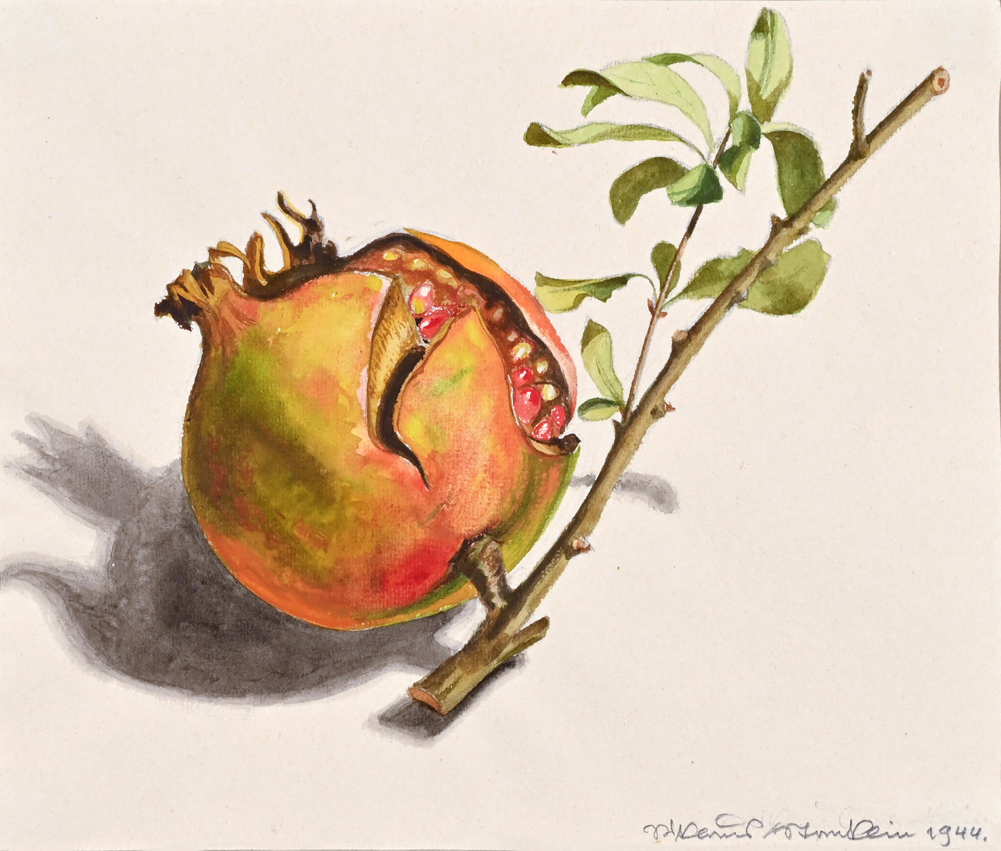 Niklaus Stoecklin, Pomegranate