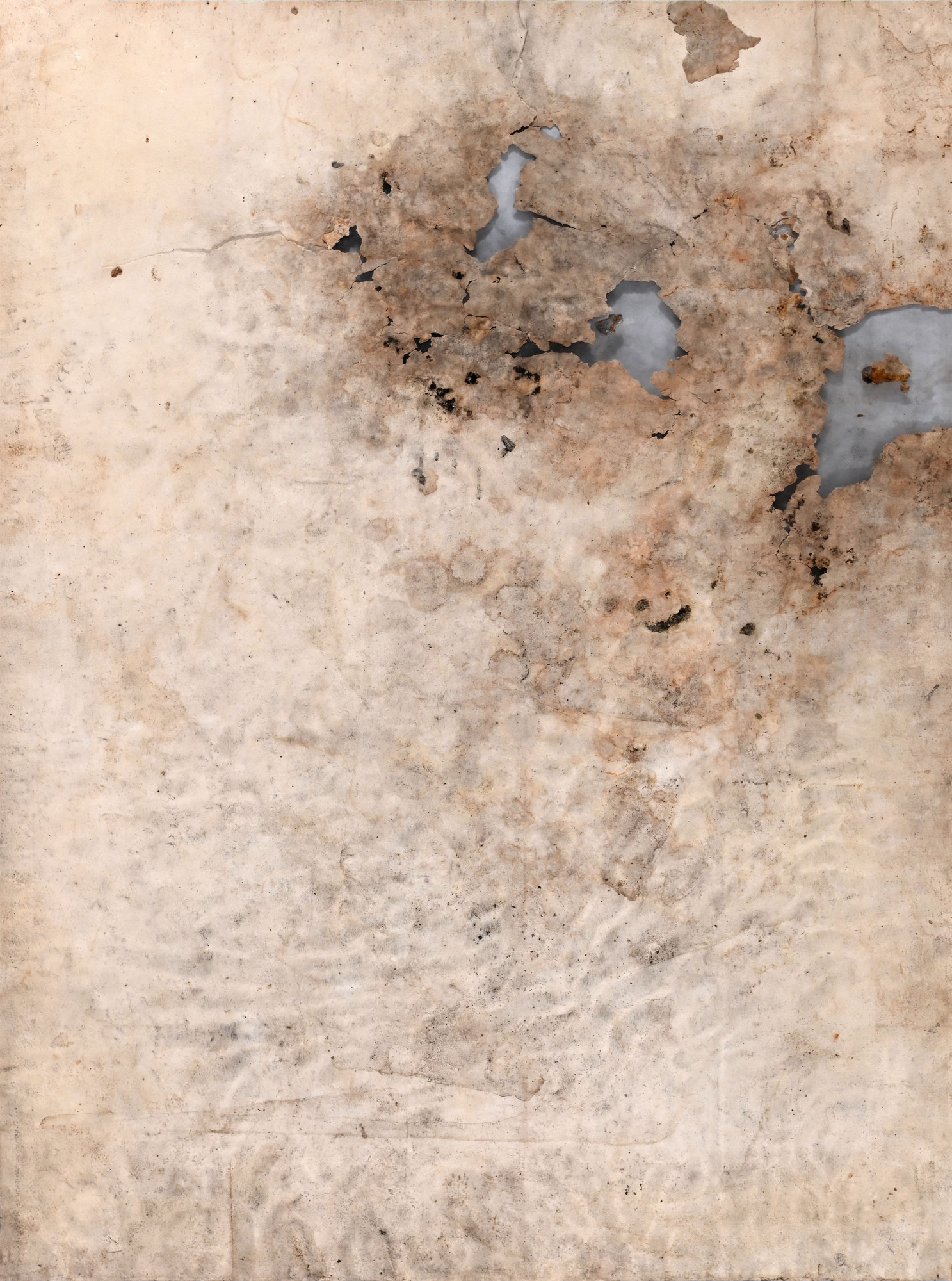 Dieter Roth, Mould picture