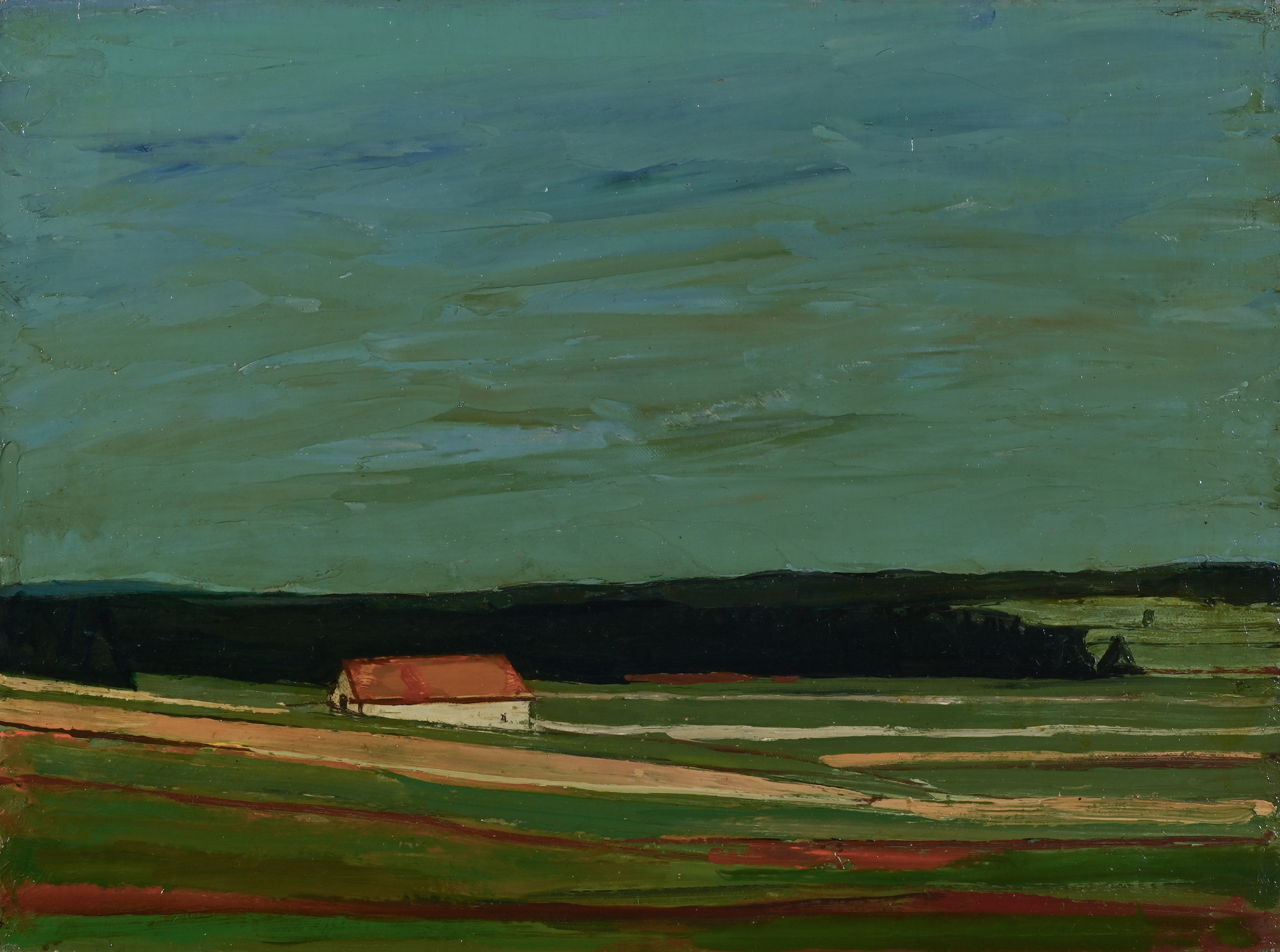 Albert Schnyder, Le toit orange