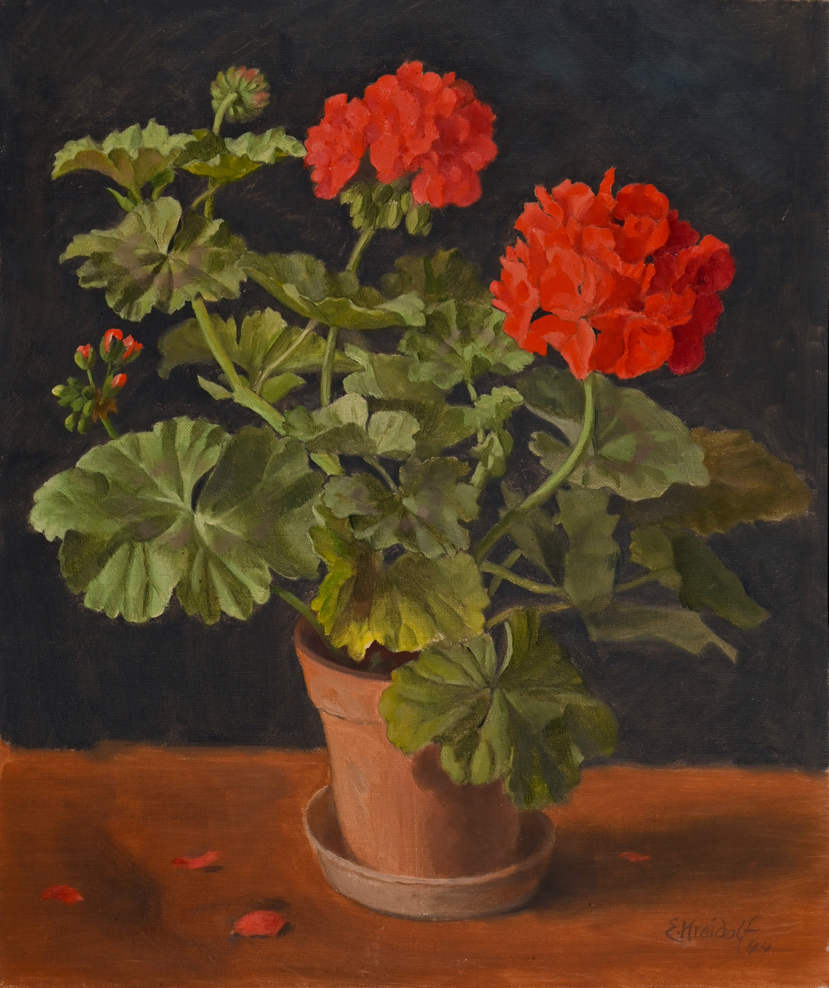 Ernst Kreidolf, Stillleben mit Geranien in einem Topf