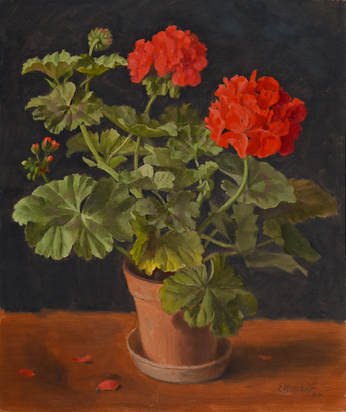 Stillleben mit Geranien in einem Topf