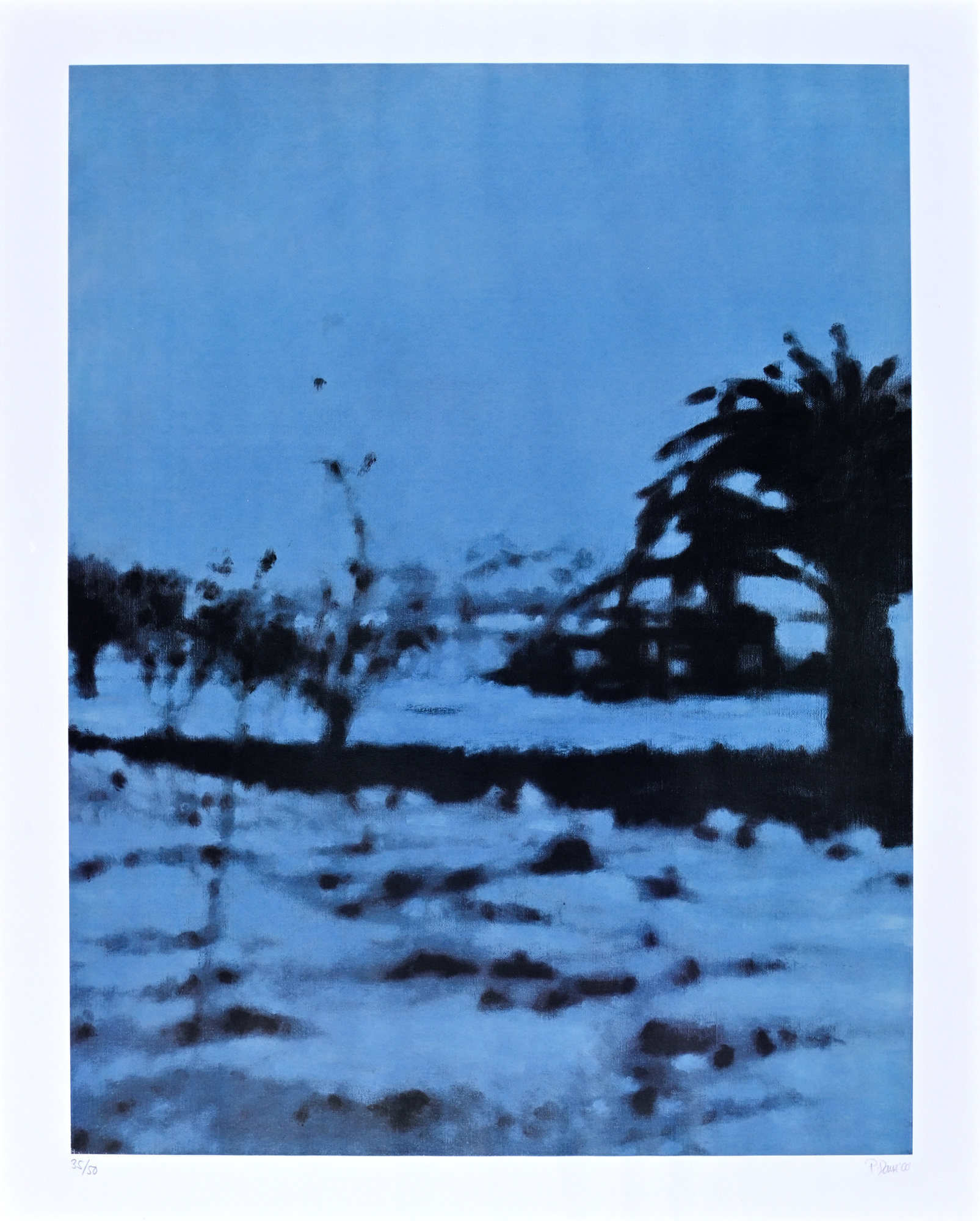 Pascal Danz, Ohne Titel