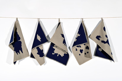 I Seem to Be a Horse