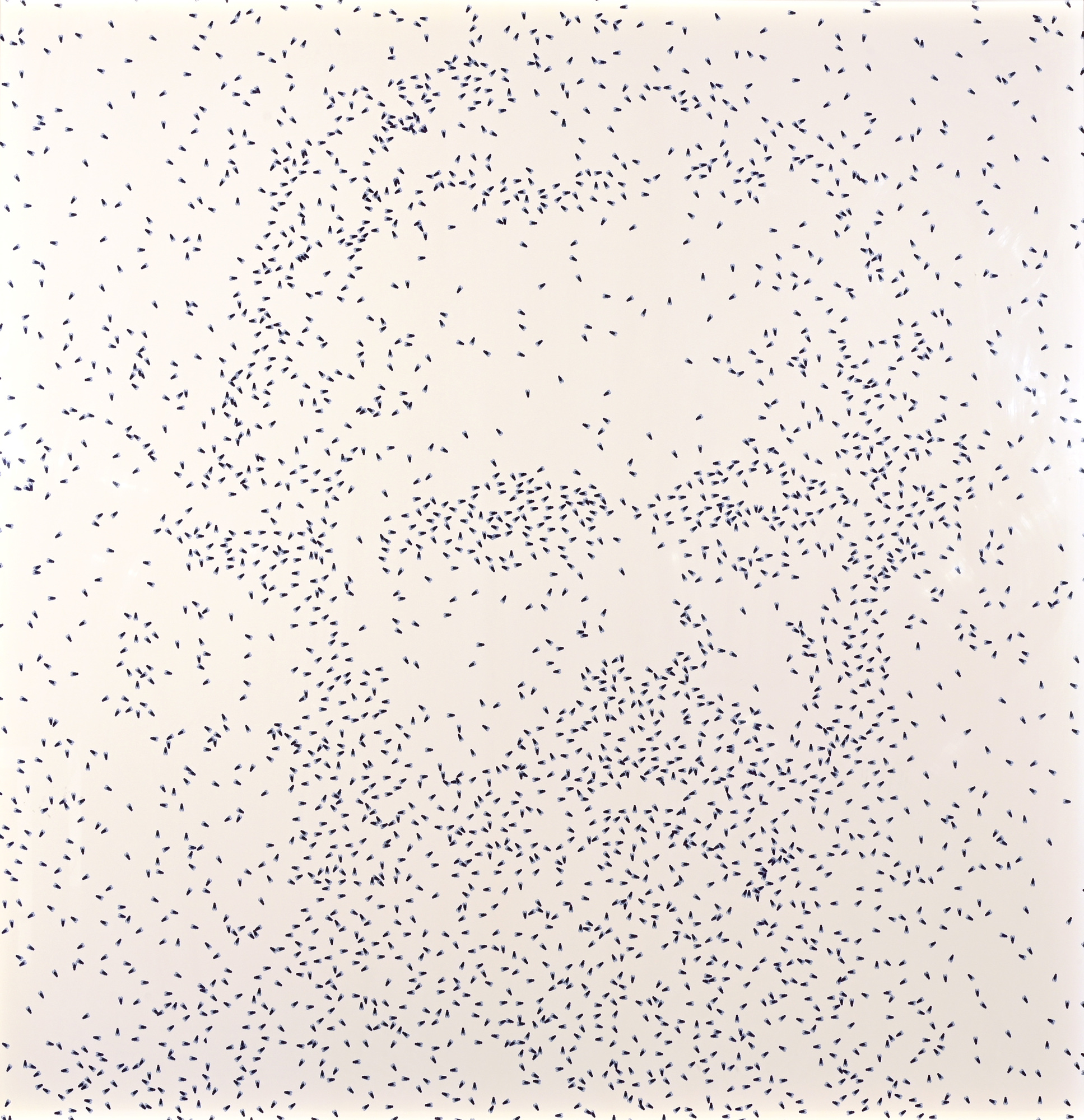 Thomas Feuerstein, Karl Marx soziale Emergenz V