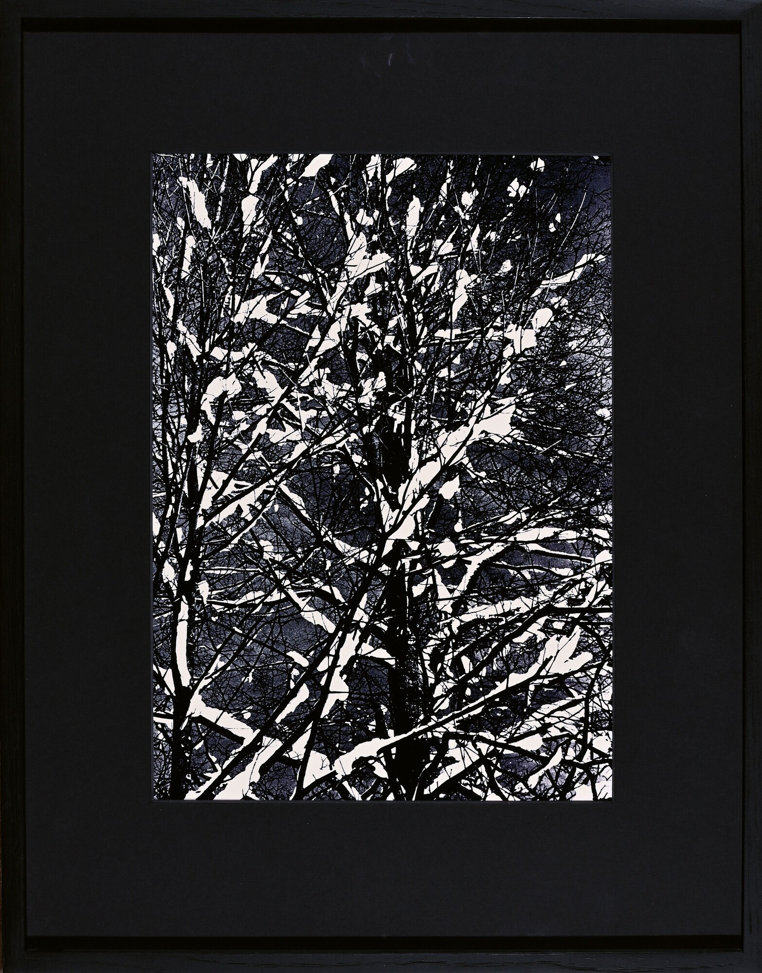 Rolf Schroeter, Lichtung