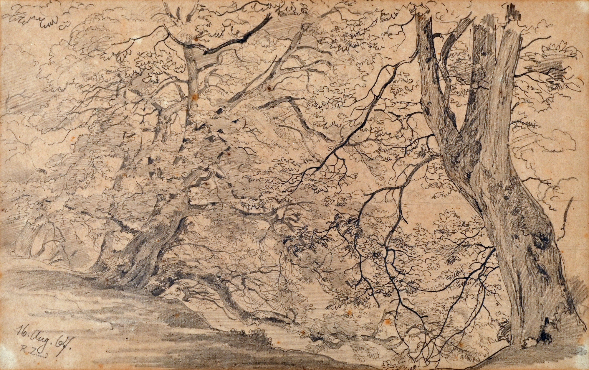 Robert Zünd, Baumgruppe