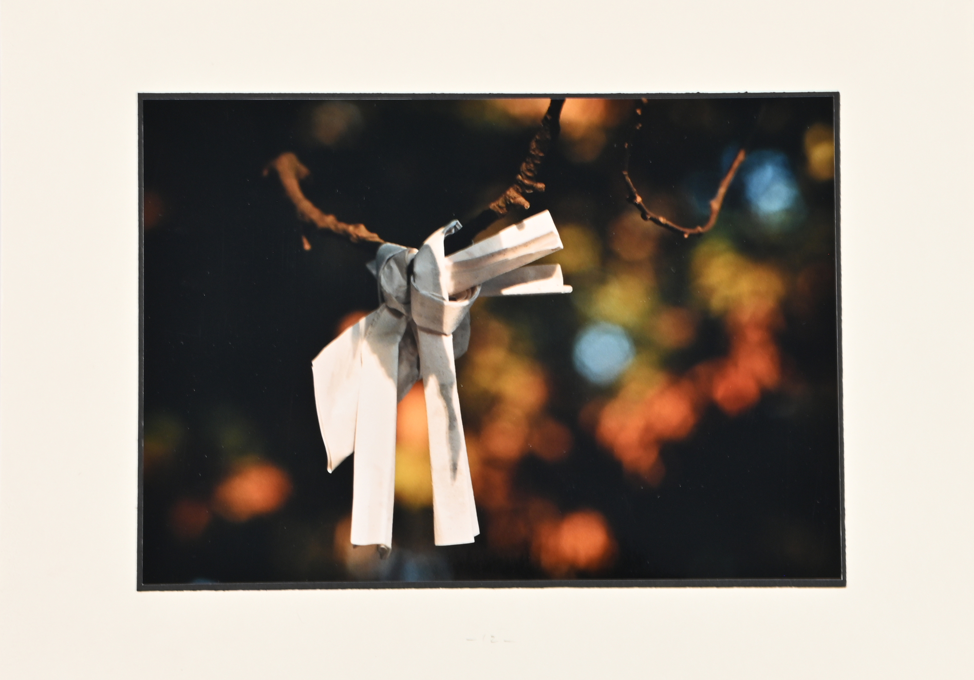 Ingeborg Lüscher, Omikuji (Tokyo, Kyoto, Nara, Izumo)