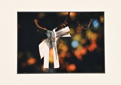 Omikuji (Tokyo, Kyoto, Nara, Izumo)