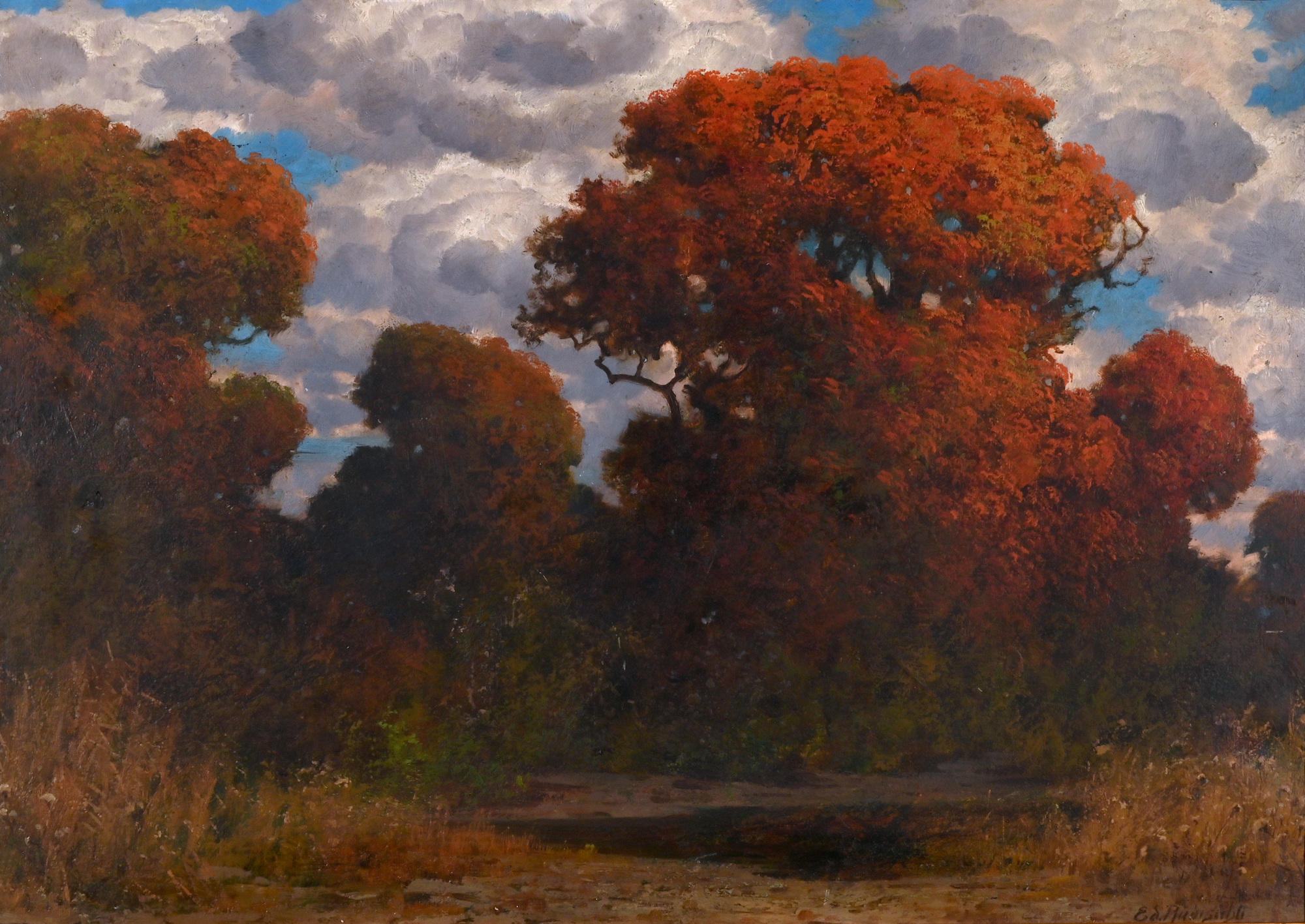 Eduard Paul Rüdisühli, Waldlichtung