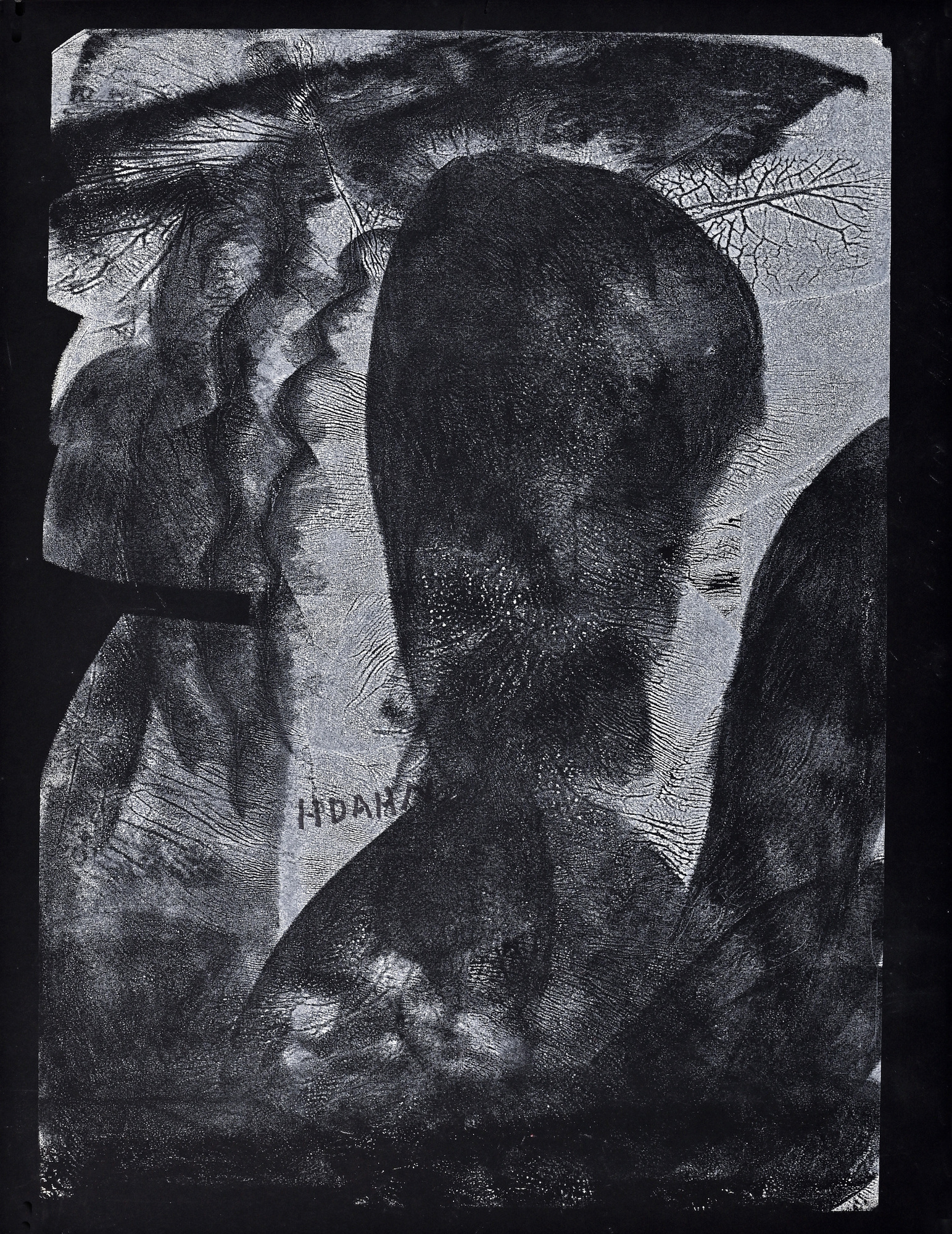 Helen Dahm, 2 Blätter: Pflanzen; Gestalt