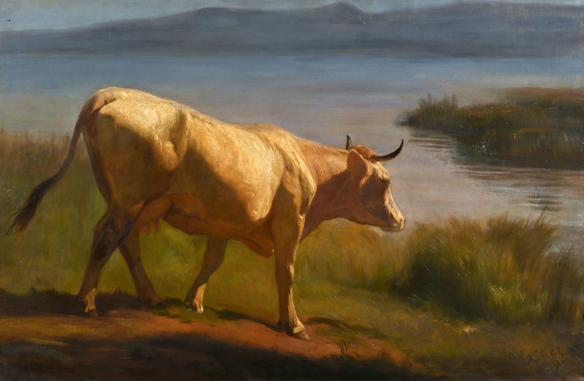 Rudolf Koller, Kuh, ins Wasser schreitend