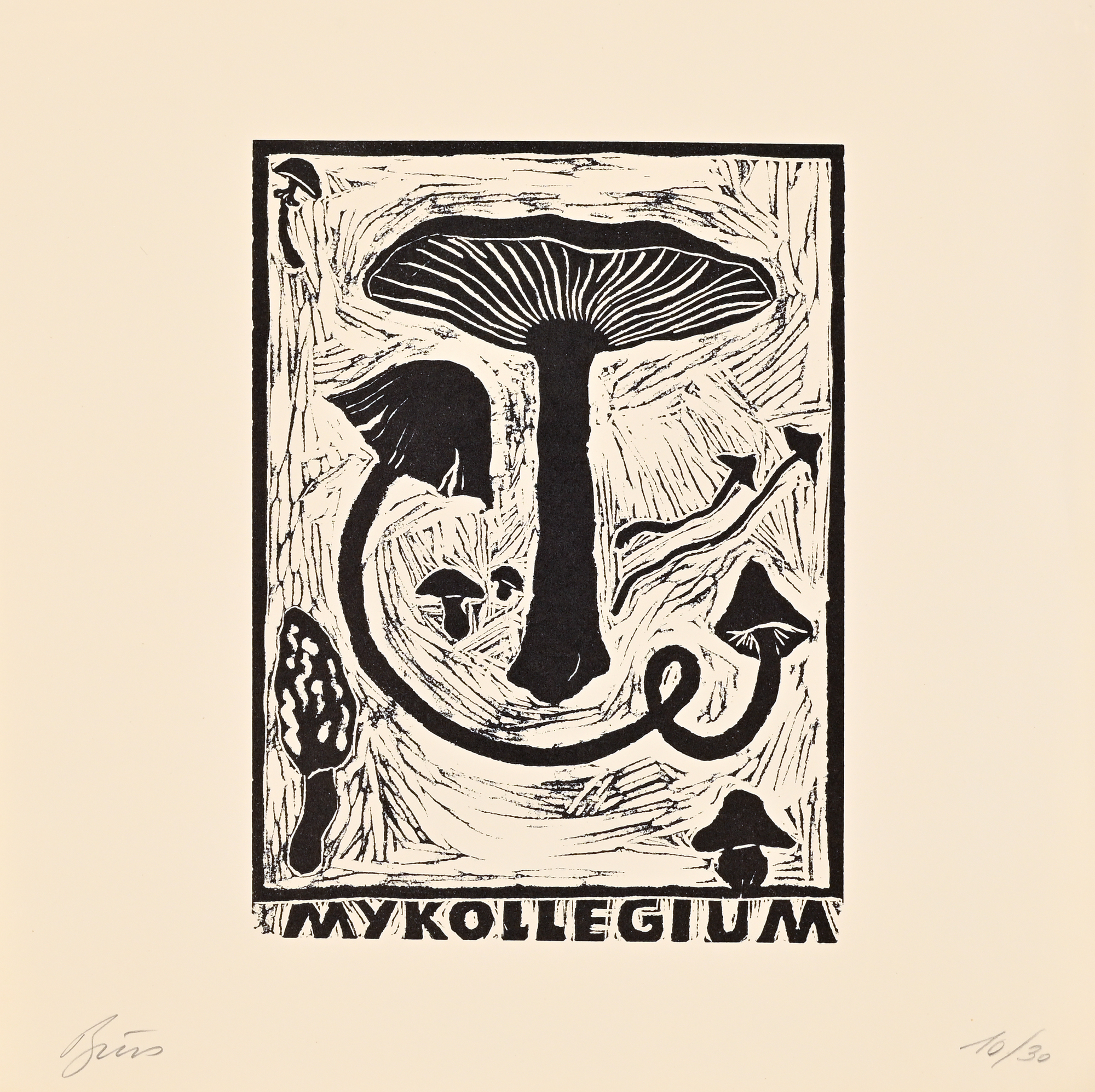 Portfolio, Portfolio. Die Galerie Stummer