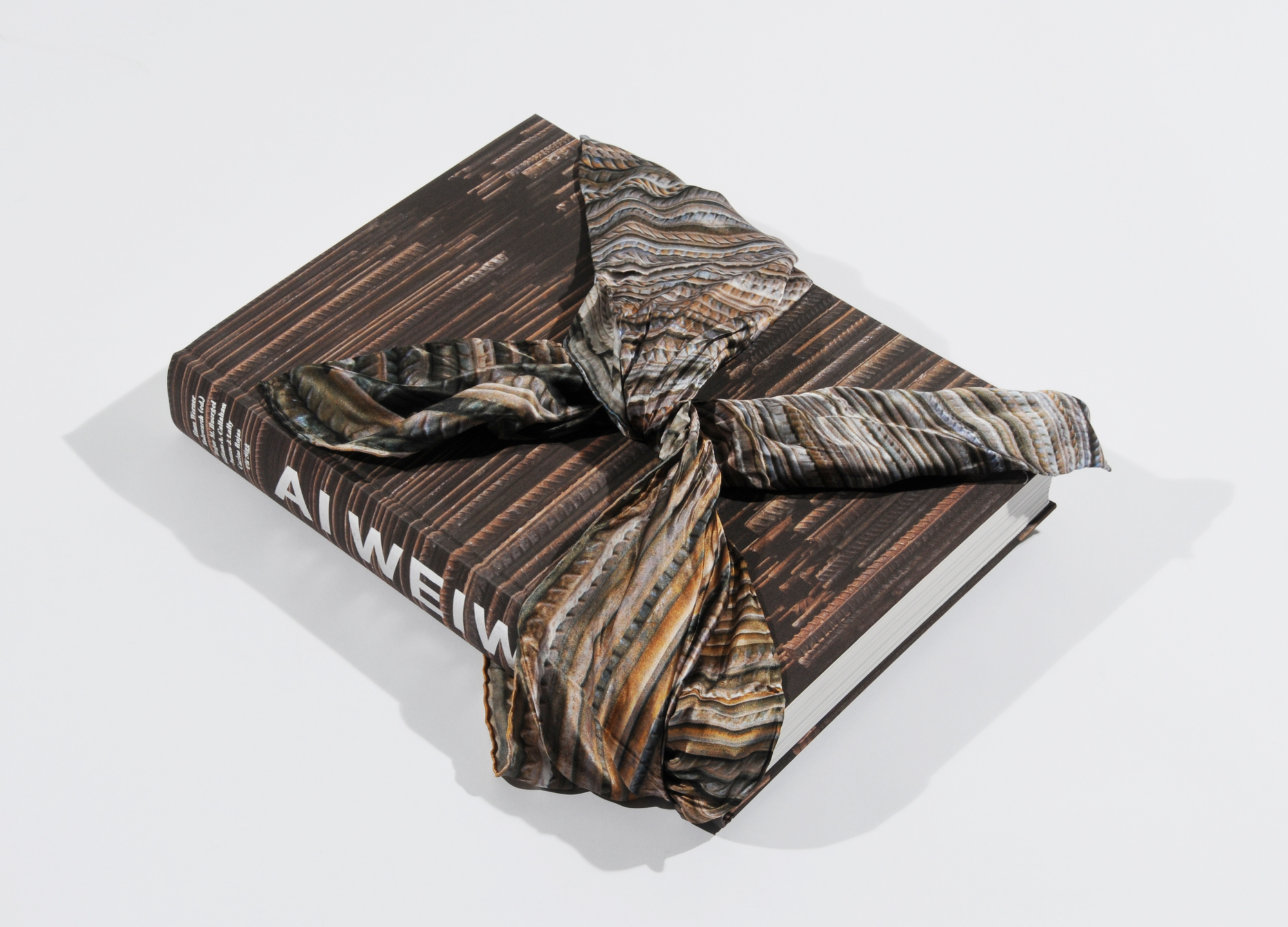 Ai Weiwei, Buch. Hans Werner Holzwarth. Ai Weiwei, Monografie