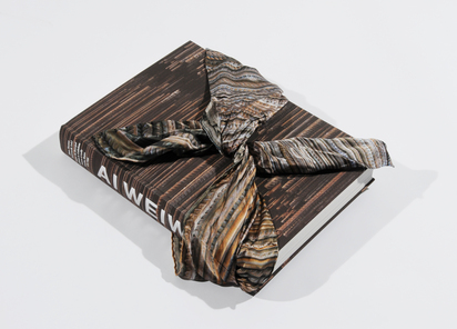 Buch. Hans Werner Holzwarth. Ai Weiwei, Monografie