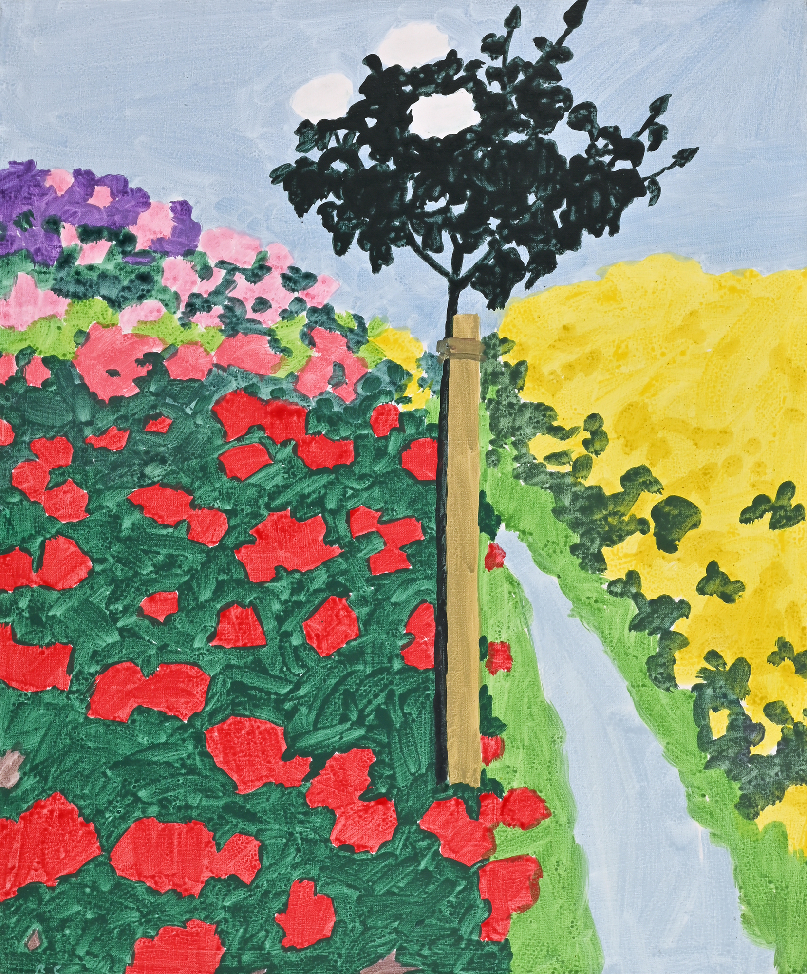 Roman Candio, Rosenbäumchen