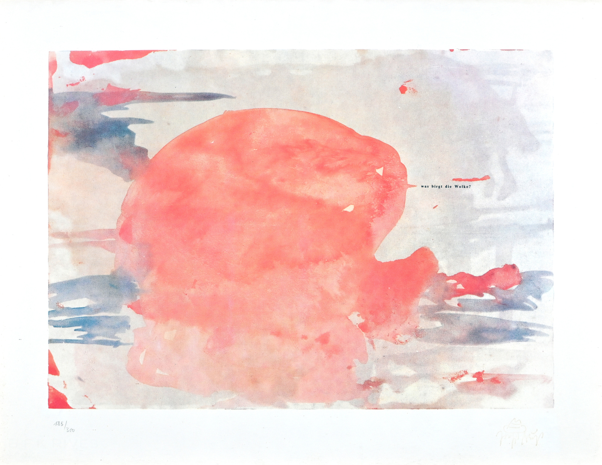 Joseph Beuys, Was birgt die Wolke