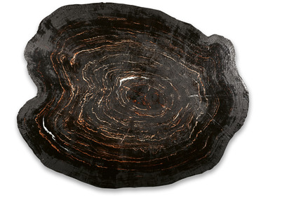 Petrified II