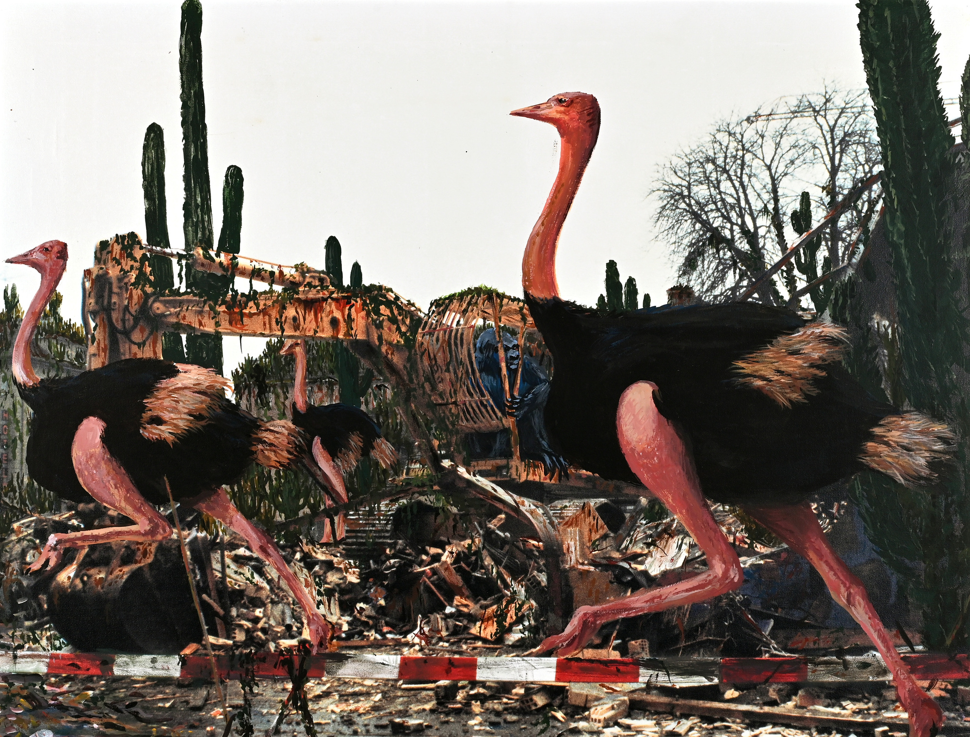 Fred Engelbert Knecht, Untitled
