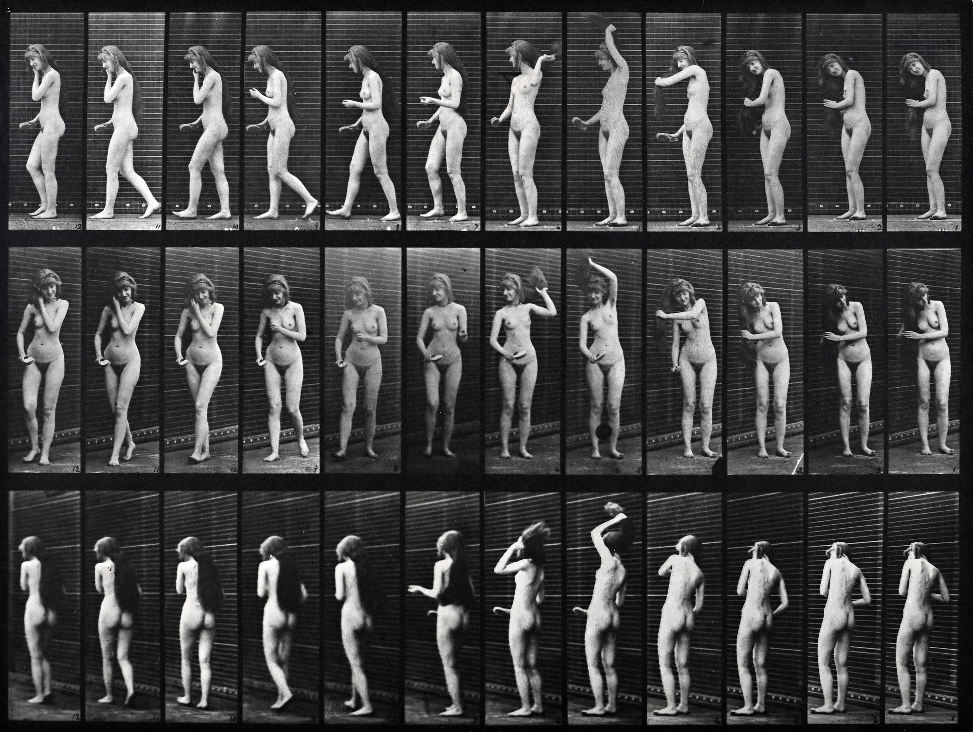 Robert Eadward Muybridge, Animal Locomotion, Plate 426