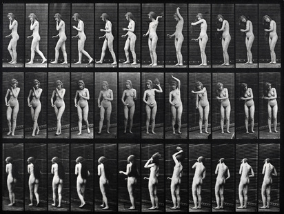 Animal Locomotion, Plate 426