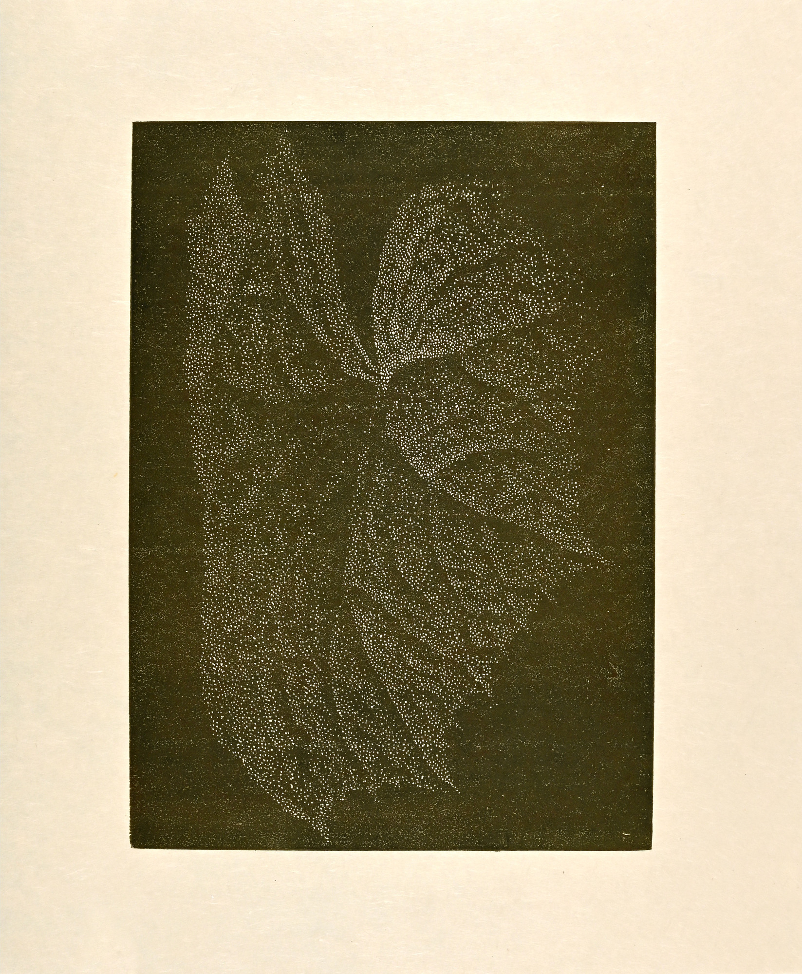 Portfolio, Cerebral