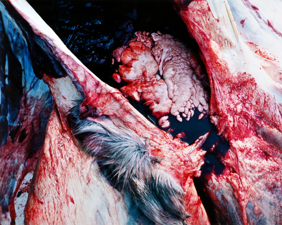 Blood III