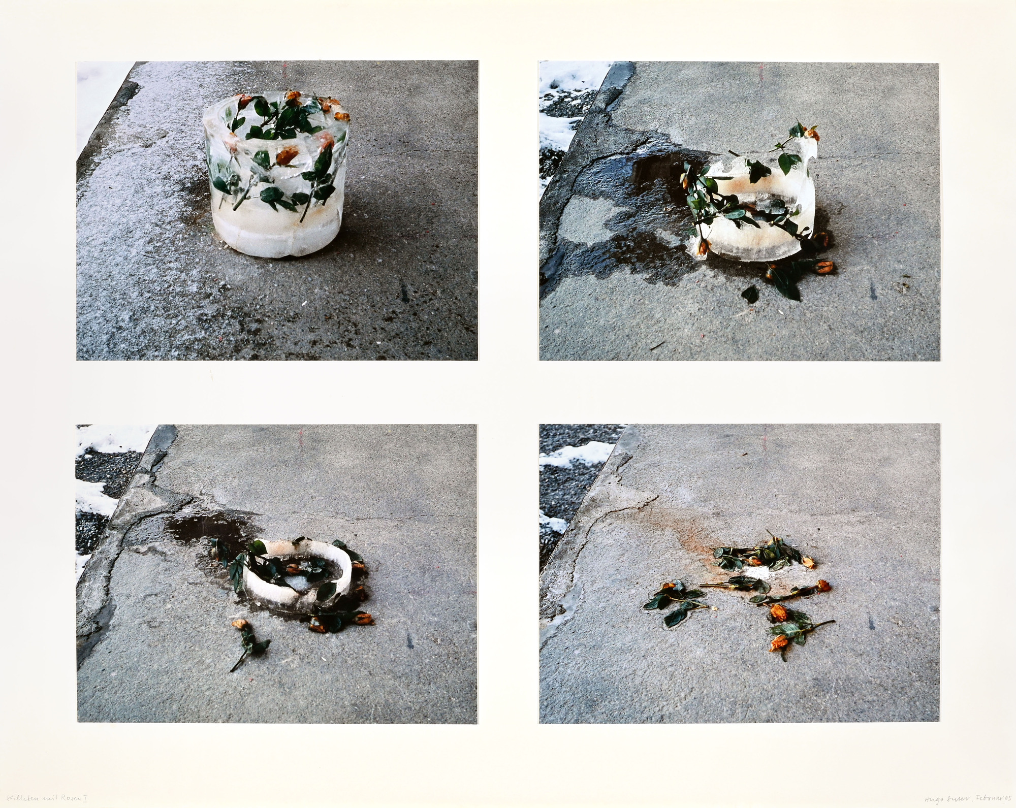 Hugo Suter, Stillleben mit Rosen