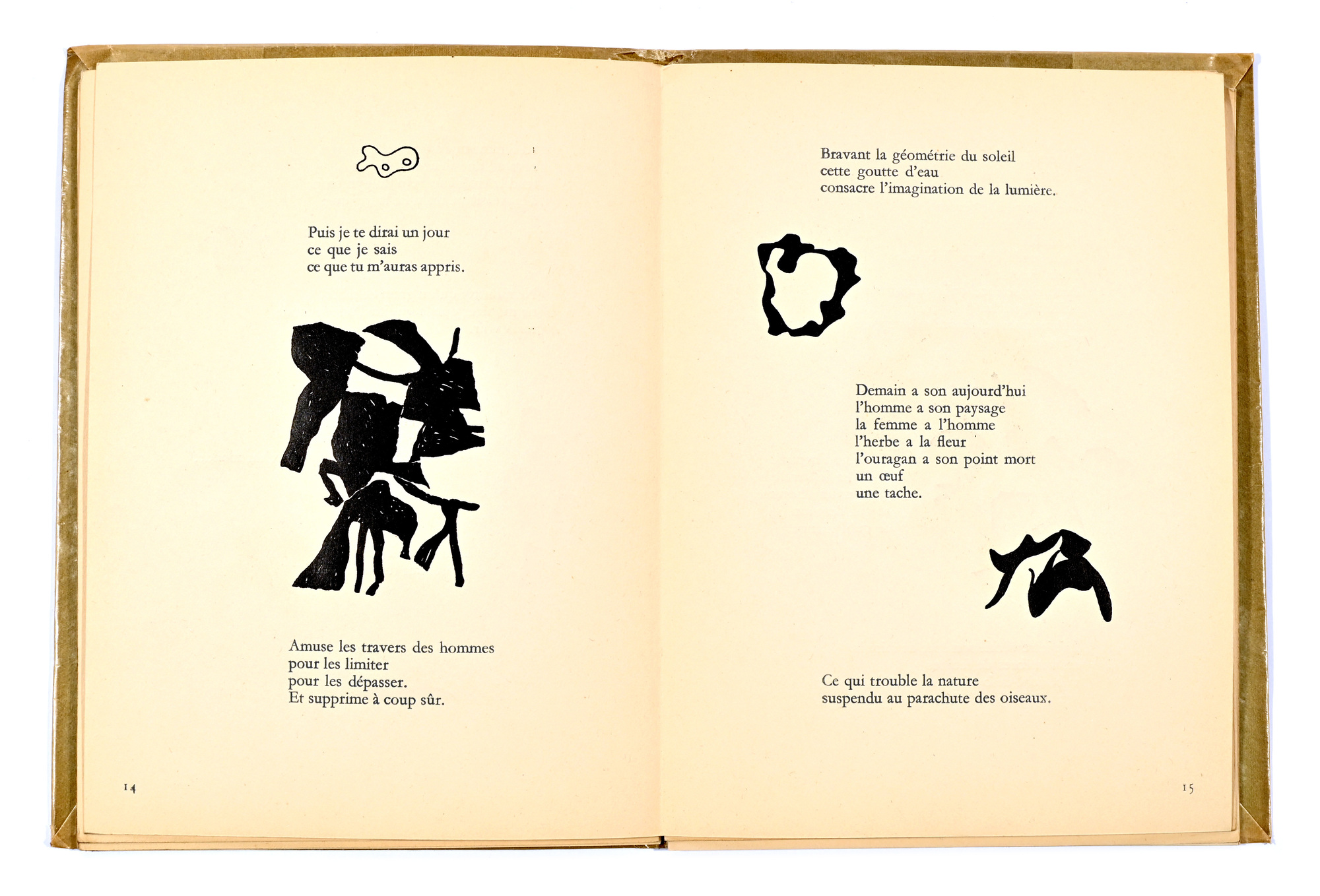 Hans Arp, Book. La sphère de sable