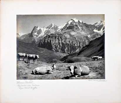 Berner Oberland. Alpfrieden über Mürren. Eiger - Mönch - Jungfrau