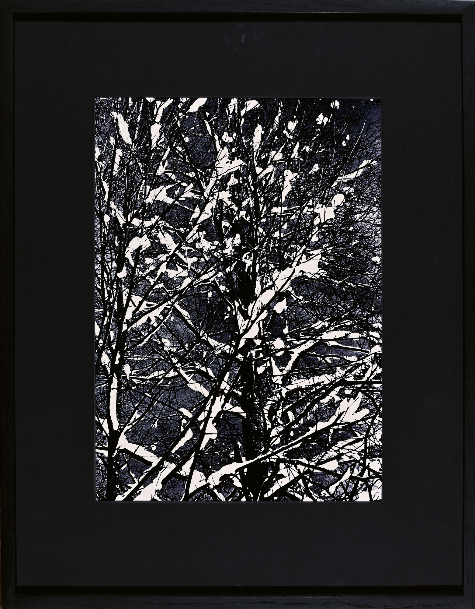 Rolf Schroeter, Lichtung