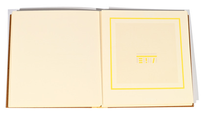 Portfolio. Letzte Briefe eines Wiedergenesenen