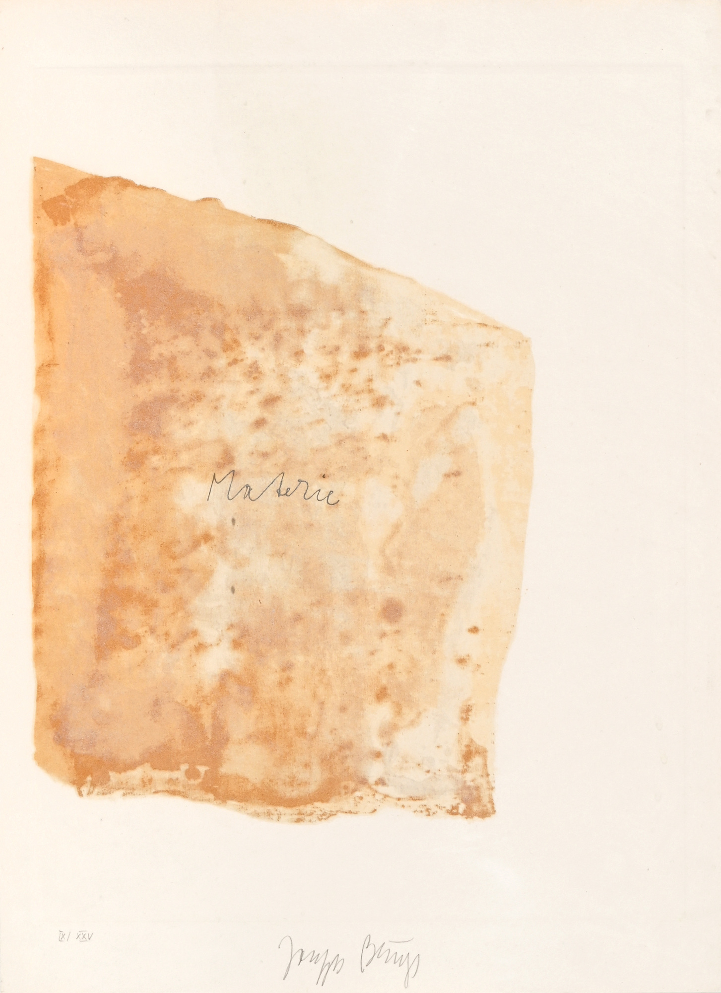 Joseph Beuys, Materie