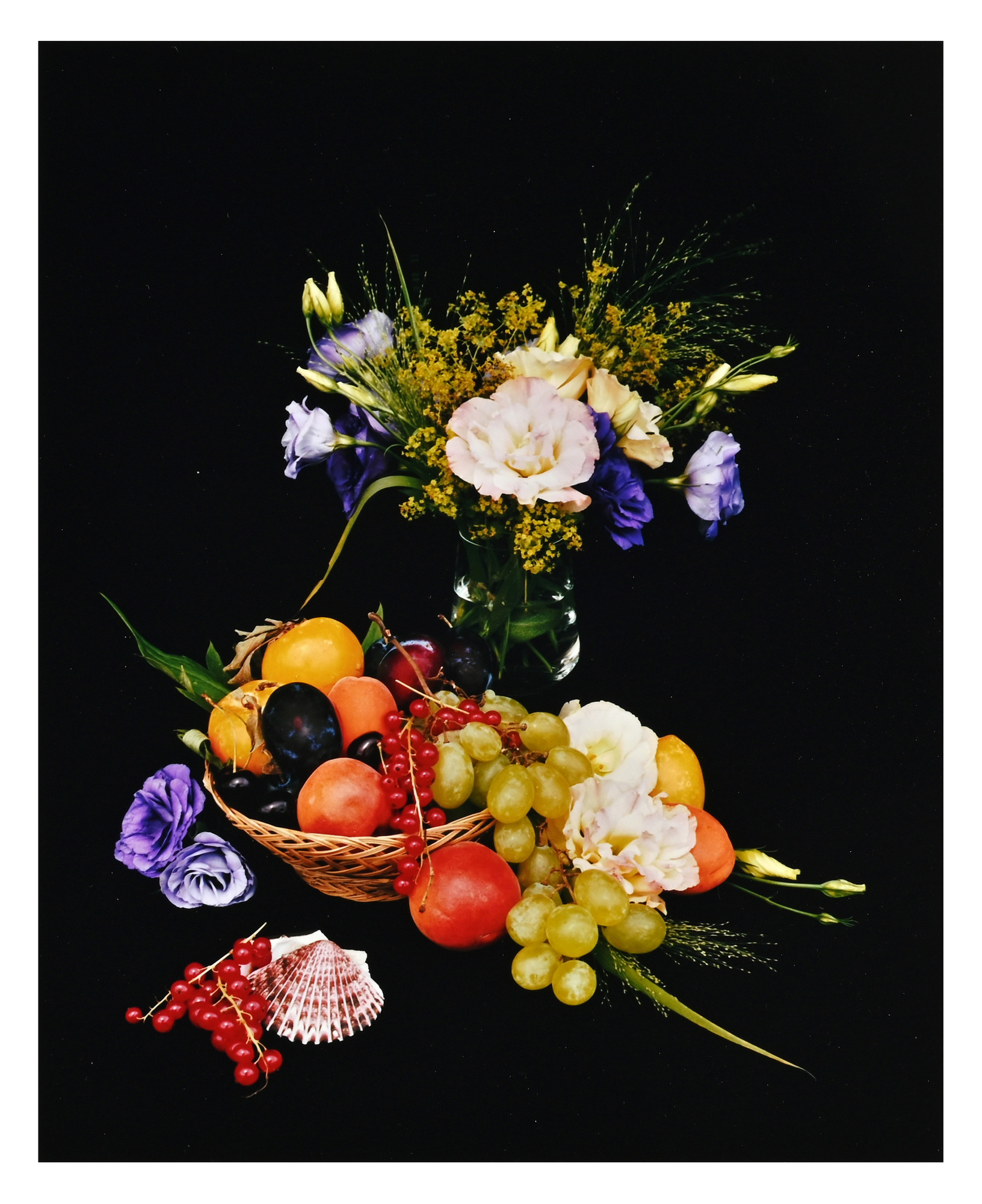 Shirana Shahbazi, Ohne Titel