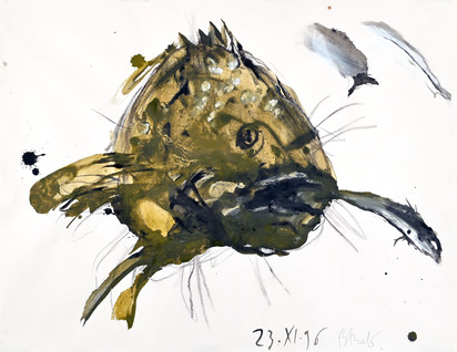 Merou mangeant sardine II